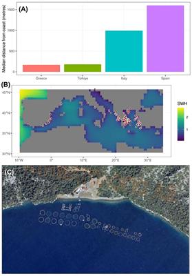 Humane slaughter in Mediterranean sea bass and bream aquaculture: farm characteristics, stakeholder views, and policy implications